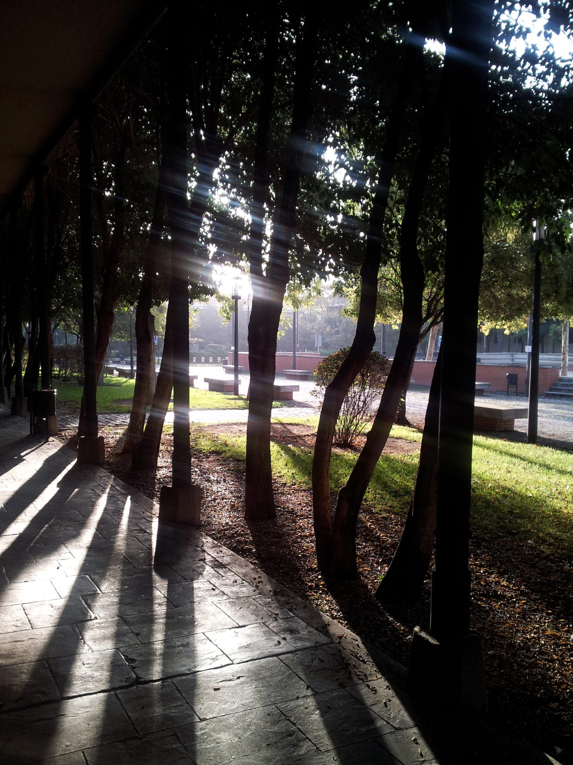 En movimiento por la Universidad Carlos III de Madrid