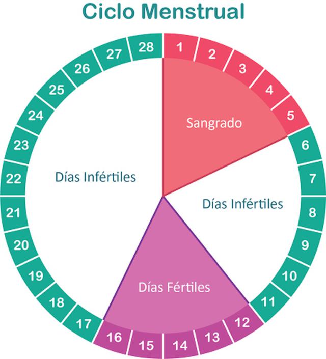 Las 5 principales formas en que el cannabis puede afectar al ciclo menstrual