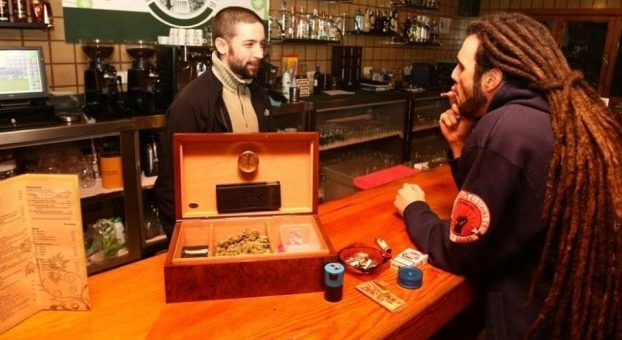 «Las farmacéuticas son las grandes enemigas de los clubes cannábicos»