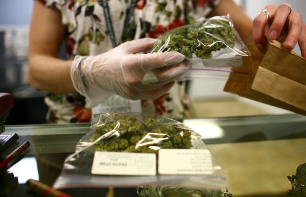 Cannabis sin miedo