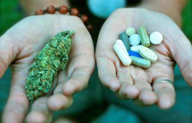 El Congreso crea una Subcomisión que estudiará el uso terapéutico del cannabis