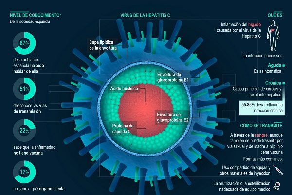 Nueva terapia para pacientes de hepatitis C