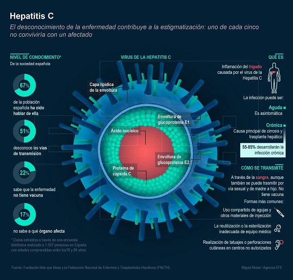 Nueva terapia para pacientes de hepatitis C