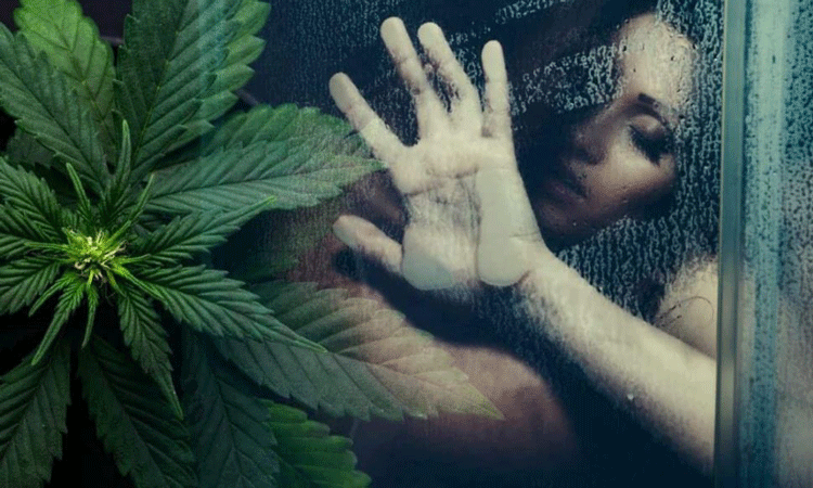 Las mujeres que usan marihuana tienen mejores orgasmos y mayor excitación